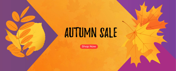 Wall Mural - autumn sale banner. fall shop now frame template with leaves.