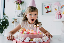 Birthday Candle Blowout Free Stock Photo - Public Domain Pictures