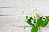 Fototapeta Kwiaty - bouquet of delicate jasmine flower on white wooden table