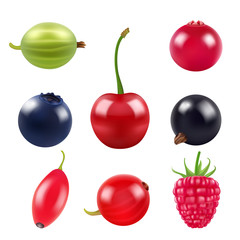 Poster - Realistic pictures of berries. Various fresh fruits
