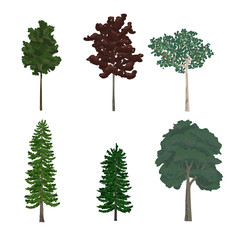 Sticker - Various of trees illustration