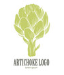 Artichoke logo. Organic food. Organic botanical design template. Hand drawn Vector illustration