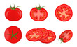 Vector illustration.Collection tomatoes on white background.