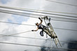 © Westend61 - Fitter with ladder, pulling along high-voltage power line