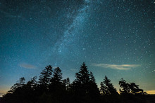 Milky Way Starscape Over Evergreen Trees Forest Silhouette