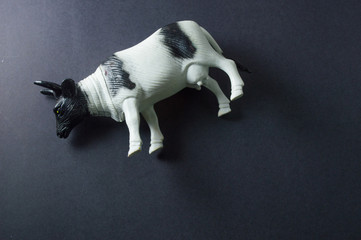 cow's toy isolated on black background