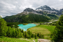 Palu Lake And Bernina Alps, Grisons, Switzerland