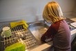 © Wavebreak Media - Boy working in kitchen at home