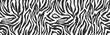 Zebra skin, stripes pattern. Animal print, black and white detailed and realistic texture. Monochrome seamless background. Vector illustration 