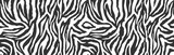 Fototapeta Fototapeta z zebrą - Zebra skin, stripes pattern. Animal print, black and white detailed and realistic texture. Monochrome seamless background. Vector illustration 