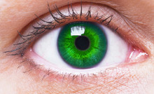 Girl's Green Eye Close Up