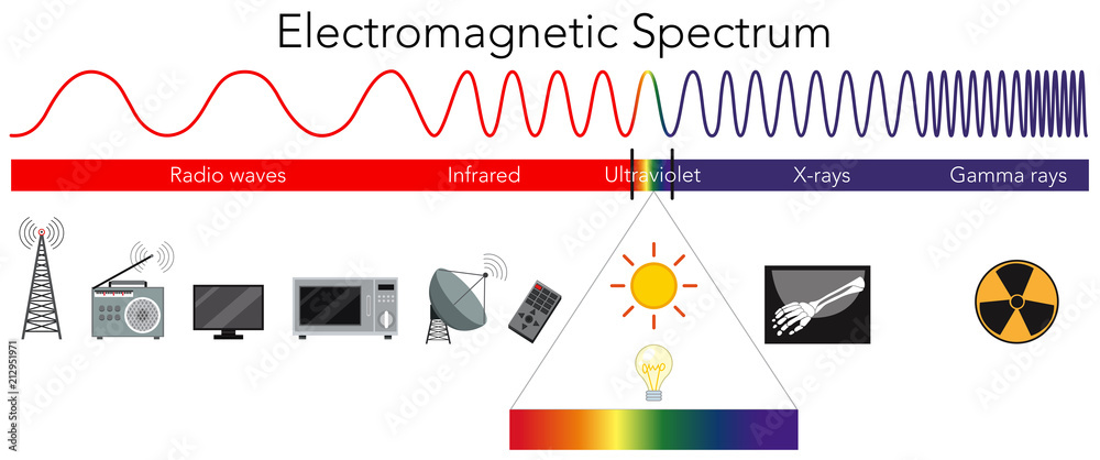 Science Electromagnetic Spectrum diagram - obrazy, fototapety, plakaty 