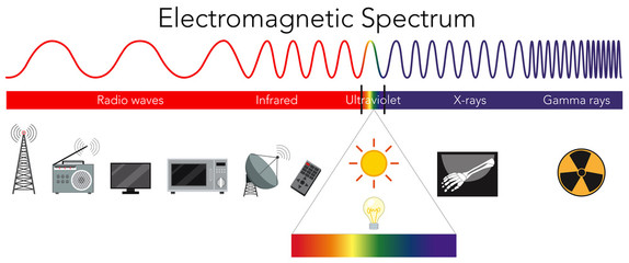 Wall Mural - Science Electromagnetic Spectrum diagram