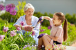 © Syda Productions - gardening, family and people concept - happy grandmother and granddaughter planting flowers at summer garden