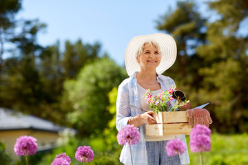 Sticker - gardening and people concept - senior woman or gardener with garden tools and flowers in wooden box at summer