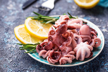 Baby Octopus In Plate With Lemon And Rosemary