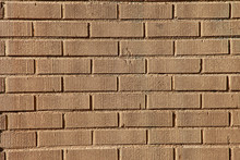 Brick Wall In The Afternoon.
