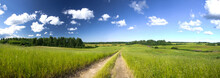 Summer Panorama Landscape With Country Road In The Field Of Green Grass Lit With Sunshine And Beautiful Clouds