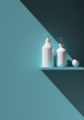 Cosmetic brand template. Raster packaging. Oil, lotion, shampoo. Bottle mock up set. On the shelf. 3D illustration