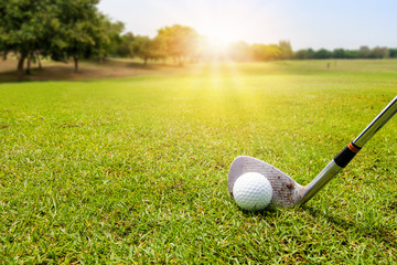 Wall Mural - Golf ball on beautiful green grass with sunlight in morning time. Sport and recreation playground for golf club concept.	