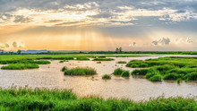 Panoramic Landscape Scenery Of Marsh Wetland Full Of Grass With Heron Looking For Fish During Sunset At Thalaynoi, Phatthalung, Thailand