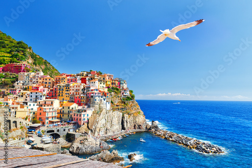 Photographie Manarola, Italy, National Park Cinque Terre, UNESCO world heritage list