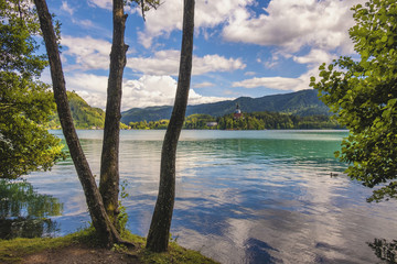 Poster - Shores of Bled lake in Slovenia