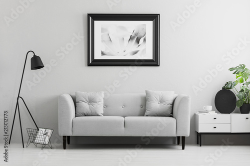 Framed Photo On A Wall Above A Fancy Gray Sofa With