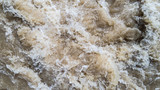 Fototapeta Storczyk - surface of flood