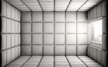 Empty Padded Cell With Open Door