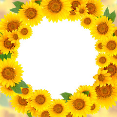 Fotomurales - Wreath of sunflowers on a white background. Background with copy space.