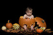 Pumpkin Baby - Halloween