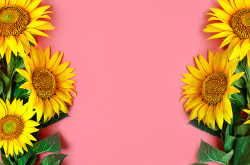 Fotomurales - Beautiful sunflowers on pink background. View from above. Background with copy space.