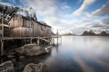 Cottage In Winter By The Fishing Village Reine, Reine Fjord, Moskenesoy, Lofoten, Norway, Europe