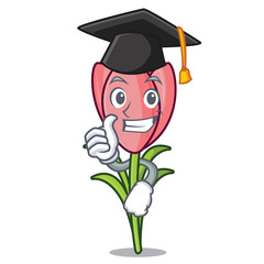 Wall Mural - Graduation crocus flower character cartoon