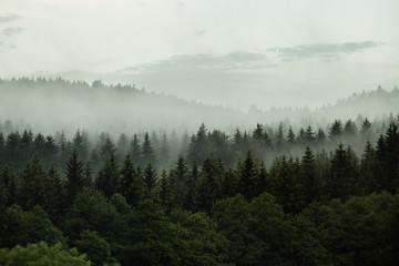 Fotoroleta niebo pejzaż panorama wzgórze las