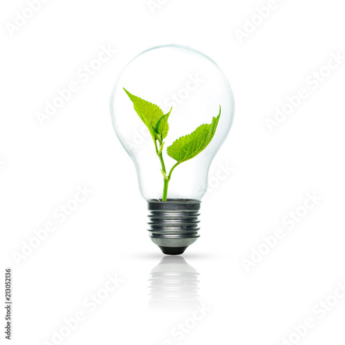 Fotomural Light bulb with sprout inside isolated on white background