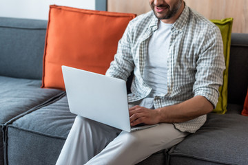 Wall Mural - partial view of smiling man using laptop on couch at home