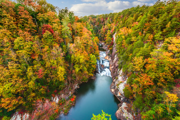 Wall Mural - Tallulah Falls, Georgia, USA