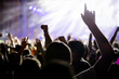 © NDABCREATIVITY - Picture of party people at music festival
