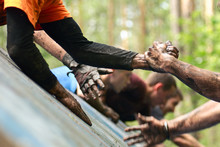 Folks Help Each Over During Mud Race With Obstacle Course. 