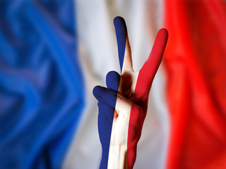 victory for france