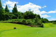 © show999 - landscape of japanese golf course in chiba