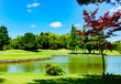 © show999 - landscape of japanese golf course in chiba