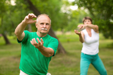 Wall Mural - Senior couple practice Tai Chi Chuan in a park.  Chinese management skill Qi's energy.