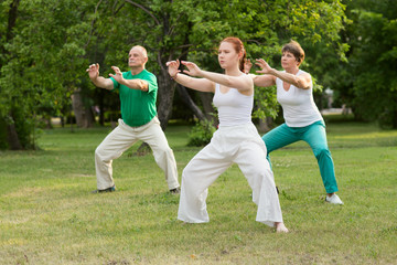 Wall Mural - group of people practice Tai Chi Chuan in a park.  Chinese management skill Qi's energy.