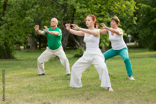 Fotografía group of people practice Tai Chi Chuan in a park