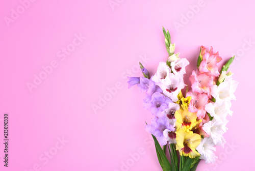 Cuadros en Lienzo Beautiful gladiolus flowers on trendy pink background.