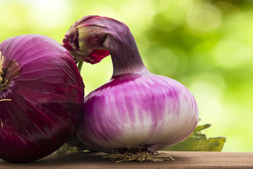 Wall Mural - onions in natural background