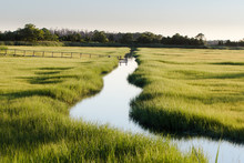 Creek Through Marsh Field
